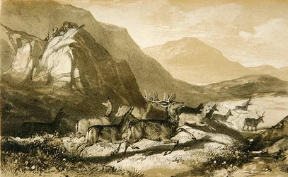 Shots from Cairn Cherie, from The Art of Deer Stalking: Illustrated by a Narrative..., 1839